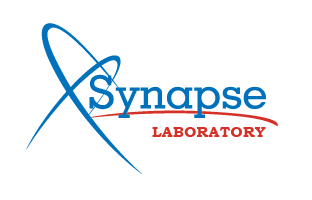 Synapse lab
