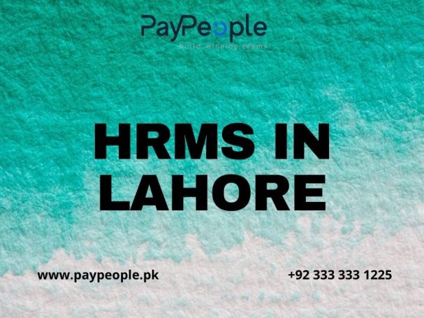 Professionals in a modern office using hrms in lahore for digital workforce management.