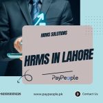Modern office professional using PayPeople cloud interface for managing HRMS in Lahore efficiency.