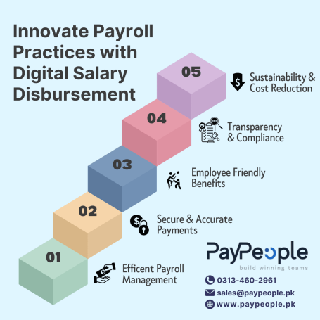 Professional team in a tech office utilizing modern hr software in lahore for payroll automation.