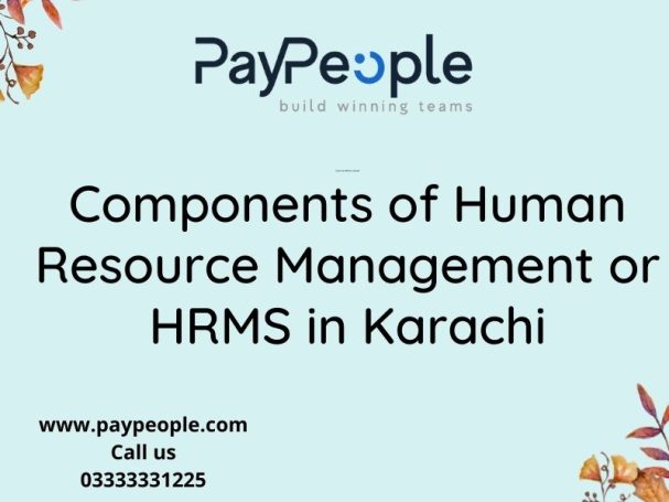 Business professional using PayPeople interactive dashboard for managing HRMS in Karachi enterprises.