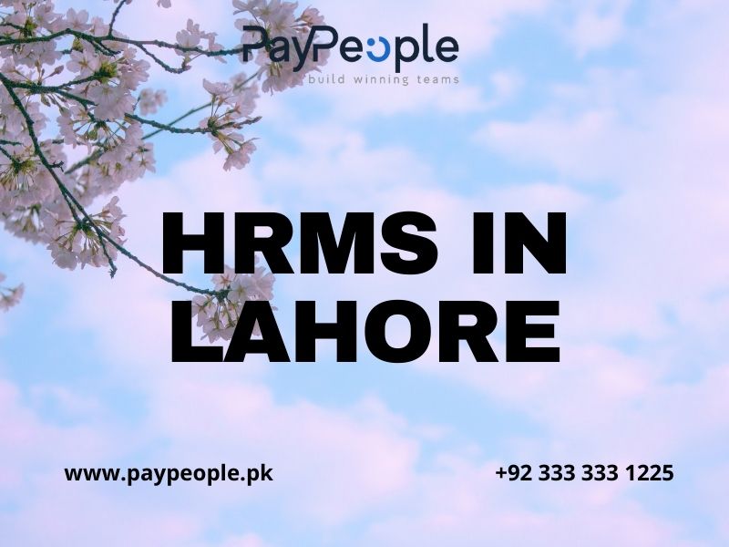Professional team using cloud based HRMS in Lahore for automated payroll management systems.