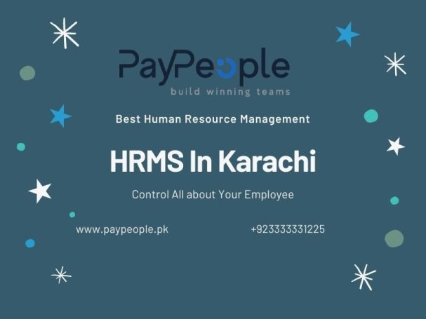 HR professional reviewing group health insurance benefits using PayPeople hrms in karachi dashboard.