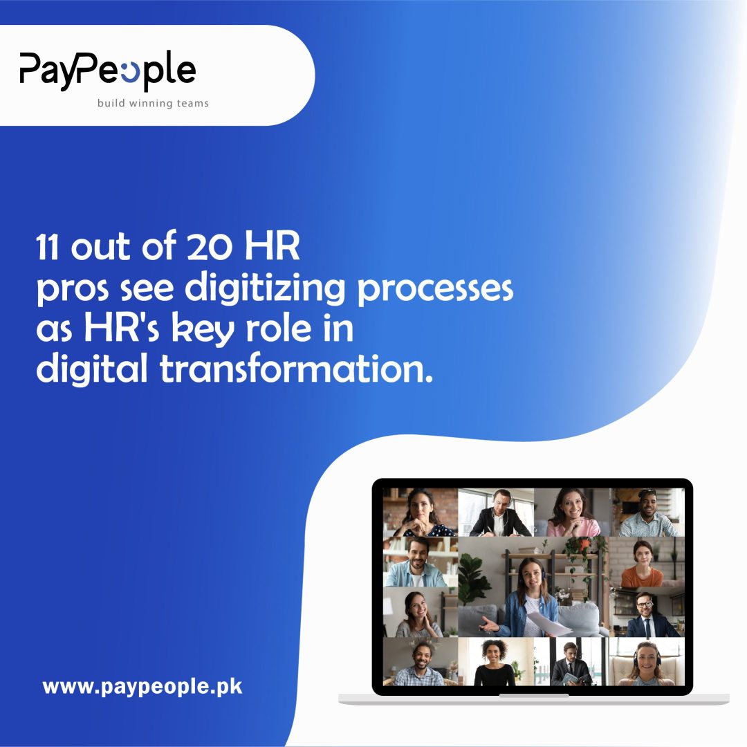 Modern office professional analyzing performance metrics using hr software in pakistan on a dashboard.