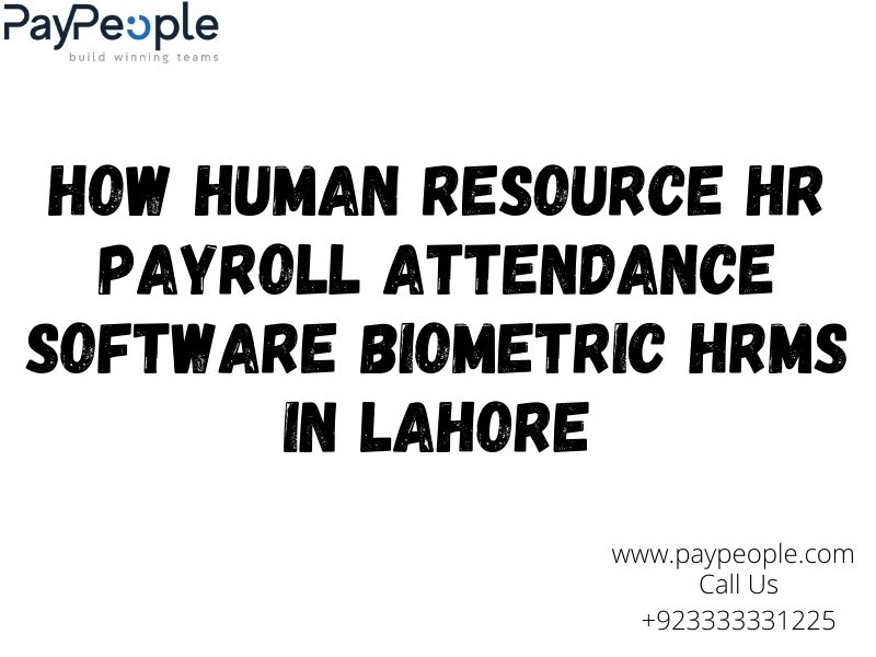 Professional office team using cloud-based HRMS in Lahore for automated payroll management systems.