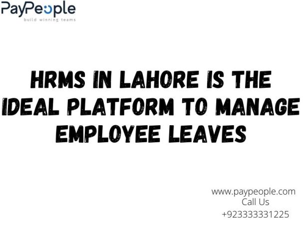 Professional HR manager using HRMS in Lahore dashboard to approve employee leave applications efficiently.