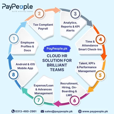 Modern office professionals using hr software in islamabad for automated workforce management.