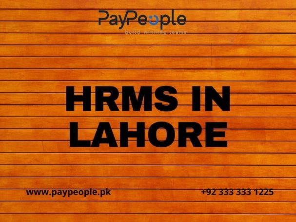 Modern corporate office professionals using digital HRMS in Lahore for streamlined payroll processing.