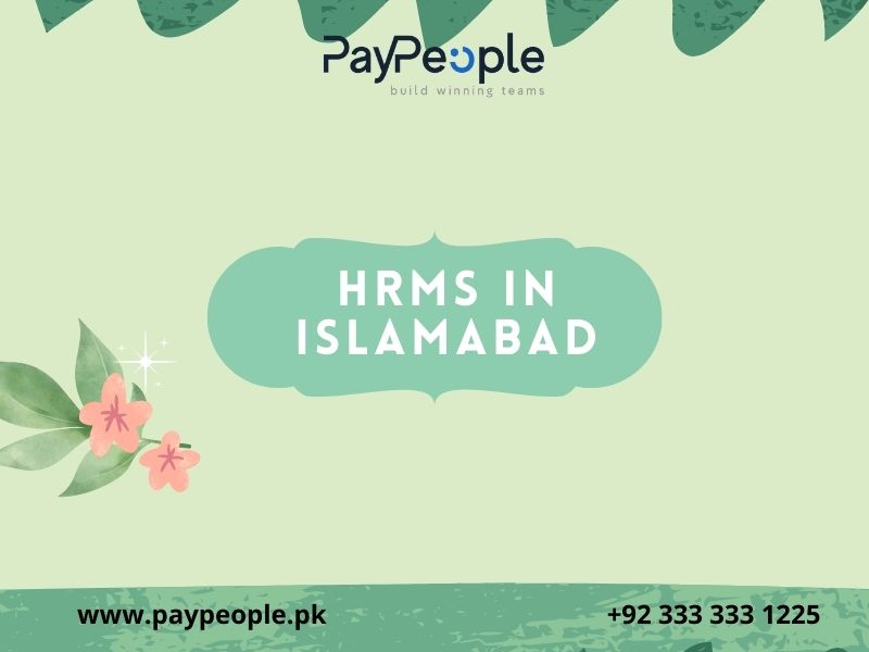 Modern office professionals using PayPeople cloud interface for HRMS in Islamabad business operations.