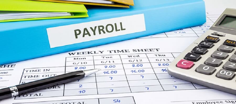 HR department using hr software in pakistan on office laptops for seamless payroll processing functions.