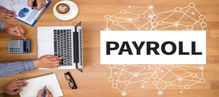 A professional dashboard of cloud payroll solutions in pakistan showing business growth metrics.