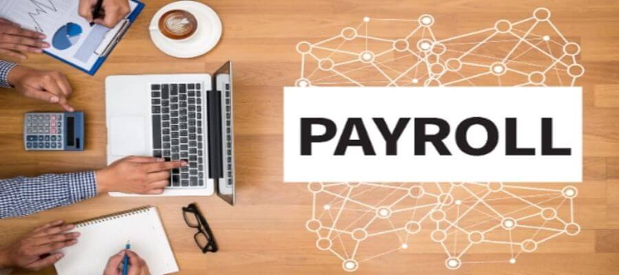 A professional dashboard of cloud payroll solutions in pakistan showing business growth metrics.