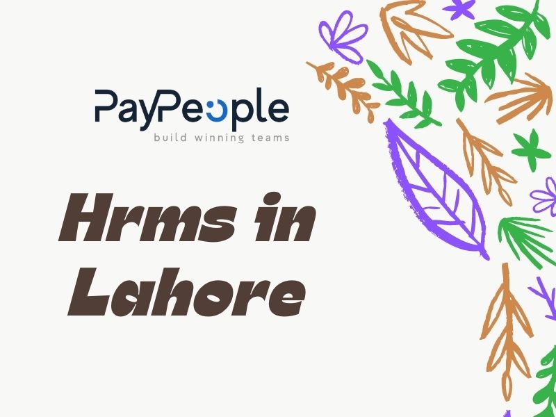 Professionals using cloud-based hrms in lahore on laptops at a modern workspace.