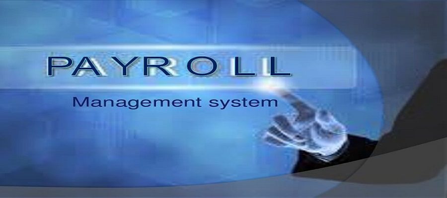 Remote professional tracking work hours using cloud based payroll software in pakistan.
