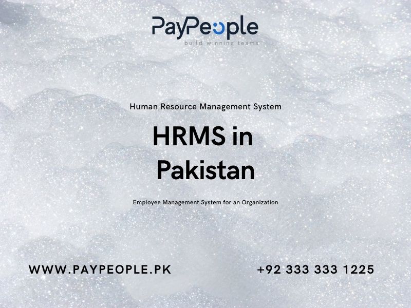 Business professional utilizing advanced HRMS in Pakistan to optimize organizational growth and digital payroll.