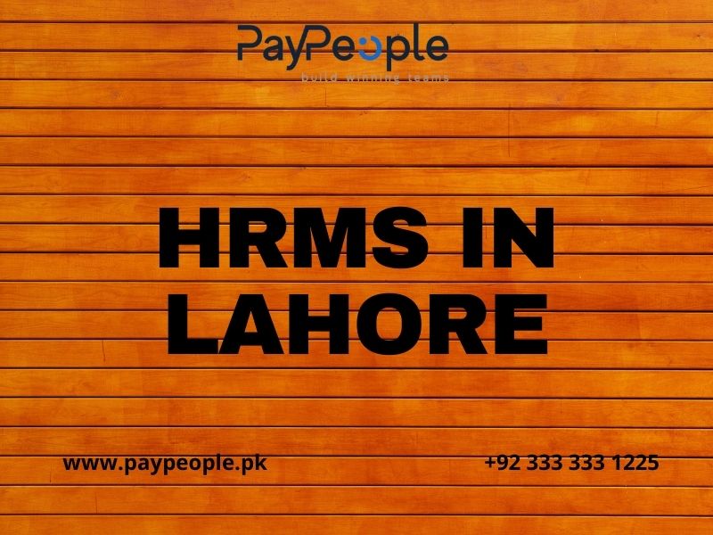 Professional managers reviewing cloud HRMS in Lahore features on a digital tablet interface.